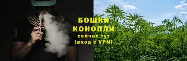 шишки Армянск