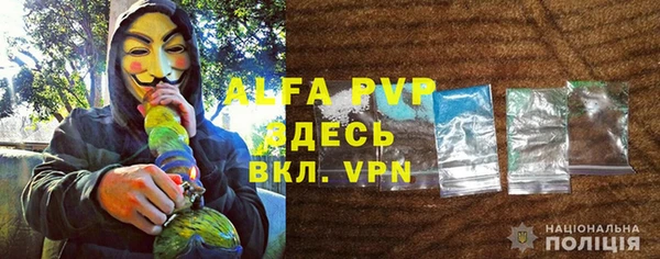 шишки Армянск
