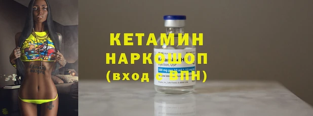 шишки Армянск
